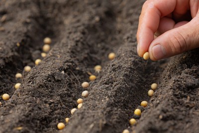 Focus su AGRICOLTURA 4.0